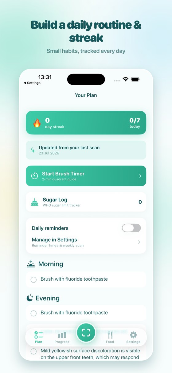 Daily care plan with streaks and reminders